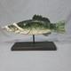 Vintage Folk Art Carved Wood Bass Fish Sculpture On Stand Signed A. D. Foster