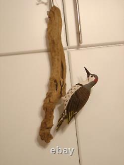 Vintage Hand Carved Woodpecker Art Sculpture Artist Signed Walter T. Powell