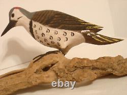 Vintage Hand Carved Woodpecker Art Sculpture Artist Signed Walter T. Powell