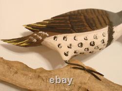 Vintage Hand Carved Woodpecker Art Sculpture Artist Signed Walter T. Powell
