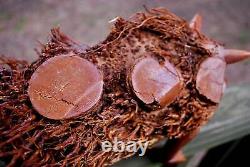 Vintage OUTSIDER FOLK ART Wood Root Sculpture PORCUPINE Hand Carved Signed BEAN