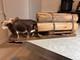 Vintage Yoked Oxen Pulling Logs Folk Art Hand Carved Claude Anible Very Nice