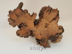 Vintage folk art hand carved wood moose sculpture on burl wood base signed KK 87