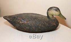 Vintage hand carved wood Folk Art signed black duck decoy bird sculpture art