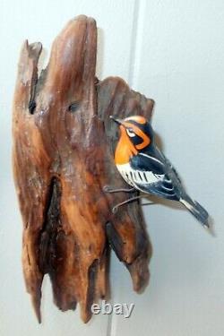 Vtg HAND CARVED PTD BIRD WALL ART HANGING Driftwood Organic Folk Art
