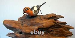 Vtg HAND CARVED PTD BIRD WALL ART HANGING Driftwood Organic Folk Art