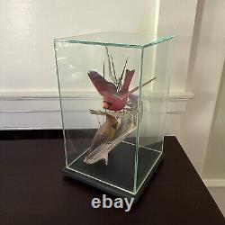 Vtg WOOD HAND CARVED BIRD Cardinal Pair FOLK ART Encased Decoy, Menard, Vermont