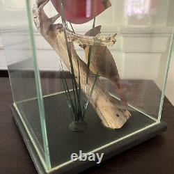 Vtg WOOD HAND CARVED BIRD Cardinal Pair FOLK ART Encased Decoy, Menard, Vermont