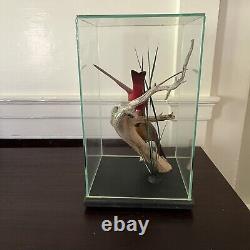 Vtg WOOD HAND CARVED BIRD Cardinal Pair FOLK ART Encased Decoy, Menard, Vermont
