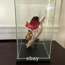Vtg WOOD HAND CARVED BIRD Cardinal Pair FOLK ART Encased Decoy, Menard, Vermont