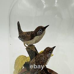 Wood House Wren Bird Signed By Artist William B # 30 Vintage Hand Carved