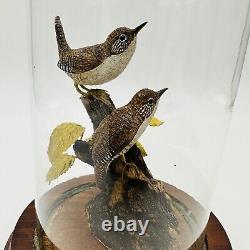 Wood House Wren Bird Signed By Artist William B # 30 Vintage Hand Carved