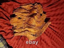 Wood Spirit Carving Face Mountain Man Sculpture Folk Art Crotch Of Cherry Tree