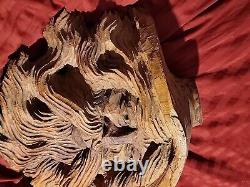 Wood Spirit Carving Face Mountain Man Sculpture Folk Art Crotch Of Cherry Tree