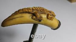 19th Century Southern Folk Art Carved Boars Alligator Tire-bouchon