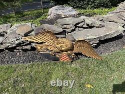 Aigle en bois sculpté, art populaire américain 41W, bouclier américain doré et peint