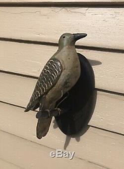 Antique Pennsylvanie Sculpté Folk Art Oiseau Du Nord Decoy Flicker