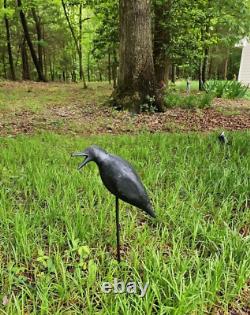 Art Populaire Fabuleux Grand Oiseau Noir Corbeau en Bois Sculpté à la Main Vintage Lourd