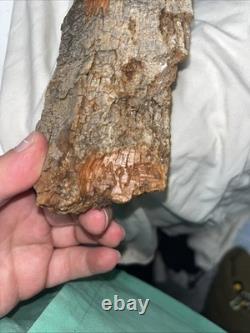 Art Populaire Sculpté Amérindien Signé Par J. Moyer Œuvre Murale En Bois