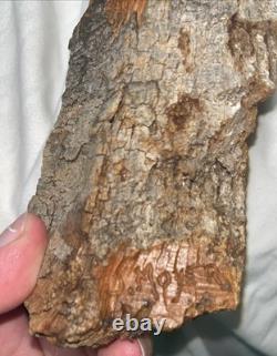 Art Populaire Sculpté Amérindien Signé Par J. Moyer Œuvre Murale En Bois