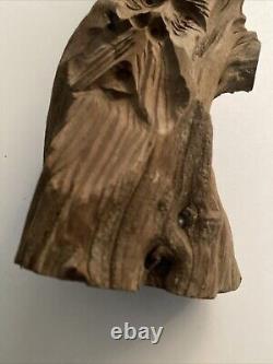 Art folklorique druidique en bois sculpté à la manière de Junior Cobb, bois flotté