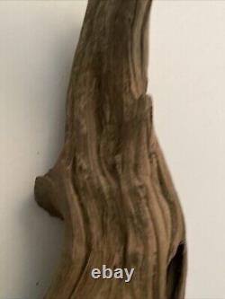 Art folklorique druidique en bois sculpté à la manière de Junior Cobb, bois flotté