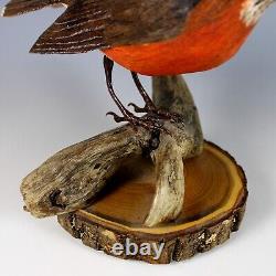 Art populaire vintage Oiseau rouge-gorge en bois sculpté à la main avec yeux en verre signé