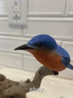 Artiste folk PHILLIP E. BROWN, Caroline du Nord, a sculpté et peint des oiseaux bleus sur du bois flotté