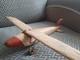 Avion En Bois Sculpté à La Main, Art Populaire Vintage