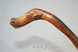 Bâton de marche stylisé sculpté en forme de chien de collection d'art populaire américain ancien