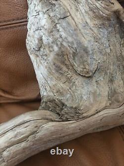 Burnt & Carved Driftwood Vintage Prince Of Wales Alaska Eagle Artiste Signé Rare