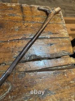 Canne de marche en bois sculpté à la main, art populaire antique. USA. Homme au grand nez.