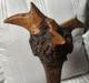 Canne En Bois Sculpt&eacute; D&rsquo;art Populaire Am&eacute;ricain Ancien Avec T&ecirc;te En Loupe, Figure Mythique