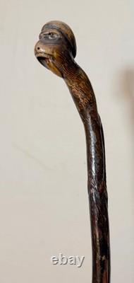 Canne en bois sculptée à la main, singe lézard, art populaire du XIXe siècle
