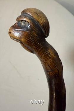 Canne en bois sculptée à la main, singe lézard, art populaire du XIXe siècle