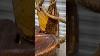 Chaise Rustique Vintage En Bois Sculpt&eacute; &agrave; La Main Avec Bord Naturel De Tronc D&rsquo;arbre