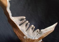 DÉTAILLÉ Alaska signé Hd Sculpté Corne Art Populaire Sculpture scène de Poisson Saumon
