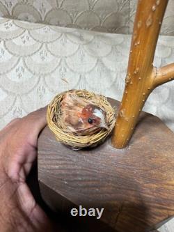 Dan et Barbara Strawser Sculptures d'oiseaux en bois sculptés et peints à la main dans un arbre - LIRE