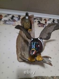 Diorama de canard en bois sculpté à la main et peint par David Ward, 1990, art populaire