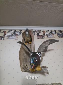 Diorama de canard en bois sculpté à la main et peint par David Ward, 1990, art populaire