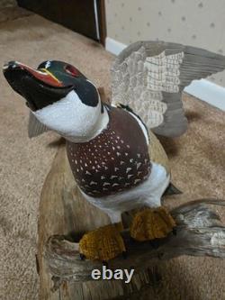 Diorama de canard en bois sculpté à la main et peint par David Ward, 1990, art populaire