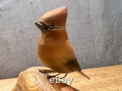 Ensemble de 2 Oiseaux en Art Populaire Sculptés et Peints à la Main sur Branches de Bois Flotté - Accroche Murale