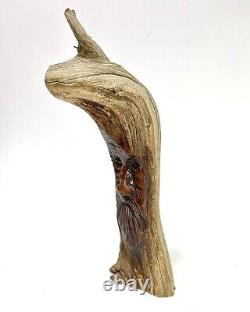 Figure d'art populaire en bois sculpté signée Junior Cobb : Esprit d'arbre au visage vintage