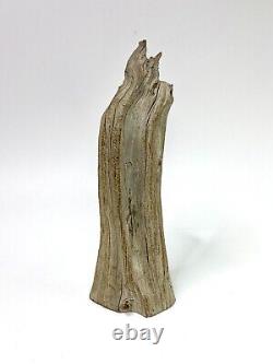Figure d'art populaire en bois sculpté signée Junior Cobb : Esprit d'arbre au visage vintage