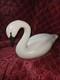Figurine De Cygne En Bois Massif D'art Populaire Vintage, Sculptée à La Main Avec Des Yeux En Verre Et Numérotée