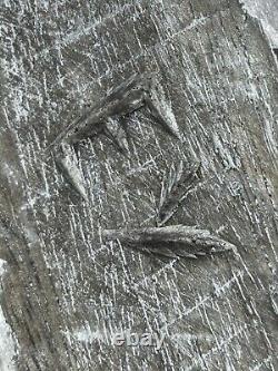 Grand Ange Putti en bois sculpté à la main priant avec visage de Chérubin et ailes - Corbeau d'art populaire