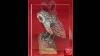 Hibou Vintage Sur Une Bûche Bois Sculpté Art Populaire Peint À La Main Signé Cb Chuck Binder Amoureux De La Virginie-occidentale
