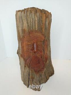 Junior Cobb Folk Art Sculpté L'arbre Visage De L'homme En Bois Signé