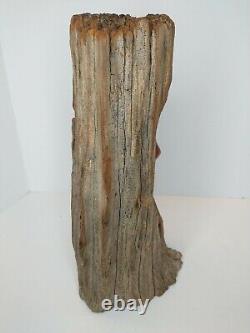 Junior Cobb Folk Art Sculpté L'arbre Visage De L'homme En Bois Signé