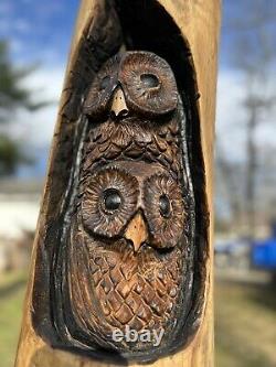 La Scie À Chaîne A Sculpté Des Owls Dans L'état De Log Cottonwood Transport 21 Telle D'un Kind